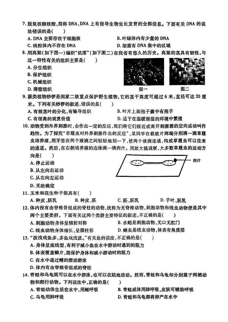 哈尔滨市南岗区2024-2025学年七年级上学期期末生物试卷和参考答案第2页