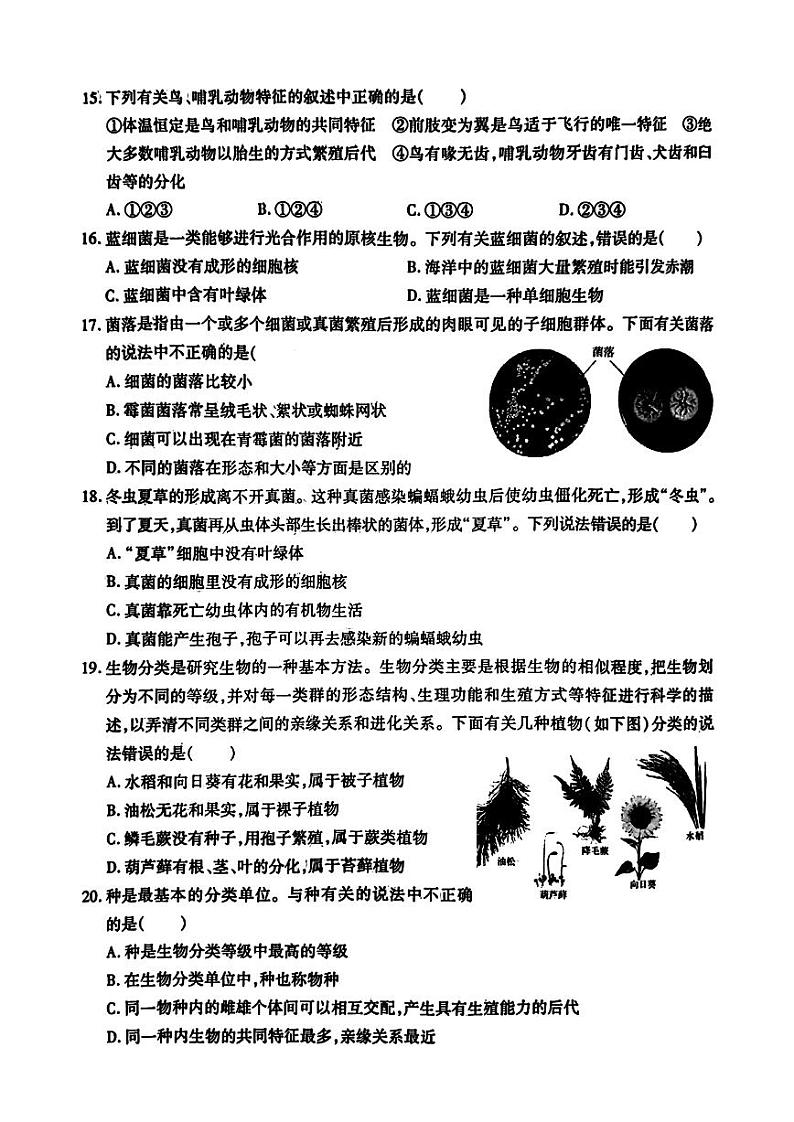 哈尔滨市南岗区2024-2025学年七年级上学期期末生物试卷和参考答案第3页