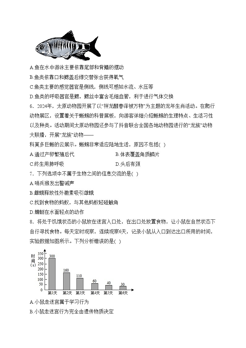 大同市第一中学校2024-2025学年八年级上学期12月月考生物试卷(含答案)第2页