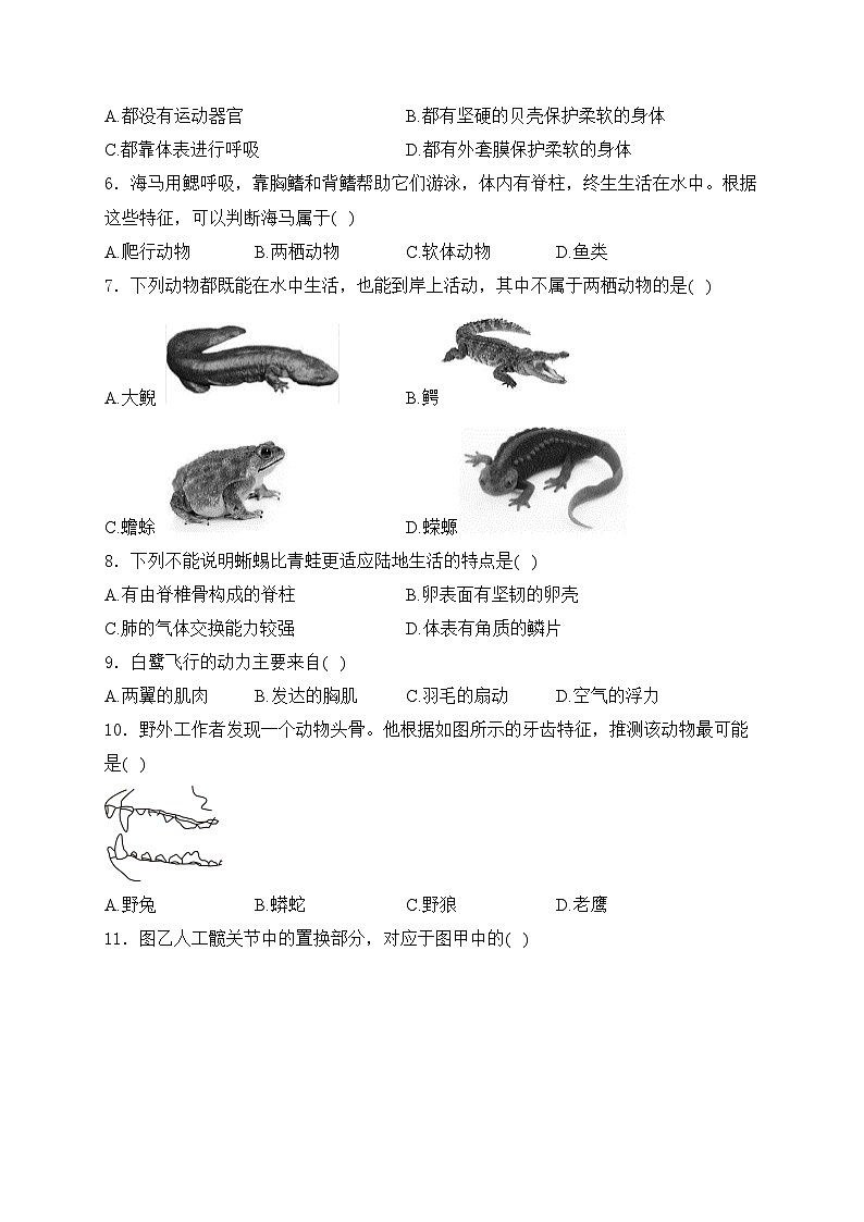 迪庆藏族自治州民族中学2024-2025学年八年级上学期11月期中考试生物试卷(含答案)第2页
