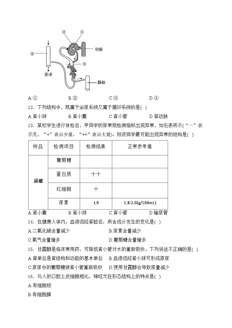 江苏省泰州市姜堰区2024-2025学年八年级上学期11月期中考试生物试卷(含答案)第3页