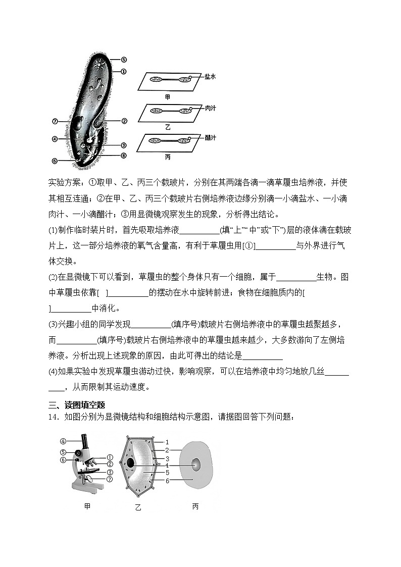 辽宁省大连市名校联考2024-2025学年七年级上学期期中考试生物试卷(含答案)第3页