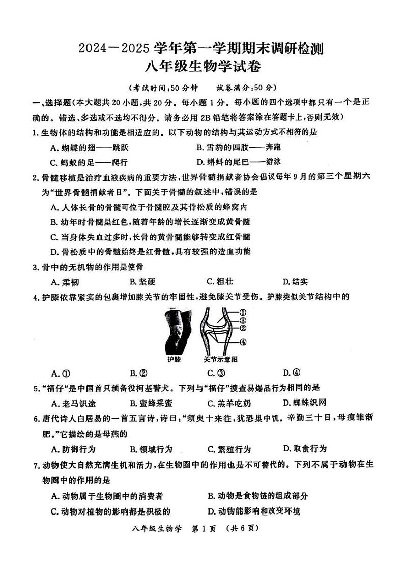 2024-2025学年河南省开封市八年级上学期期末生物试卷第1页