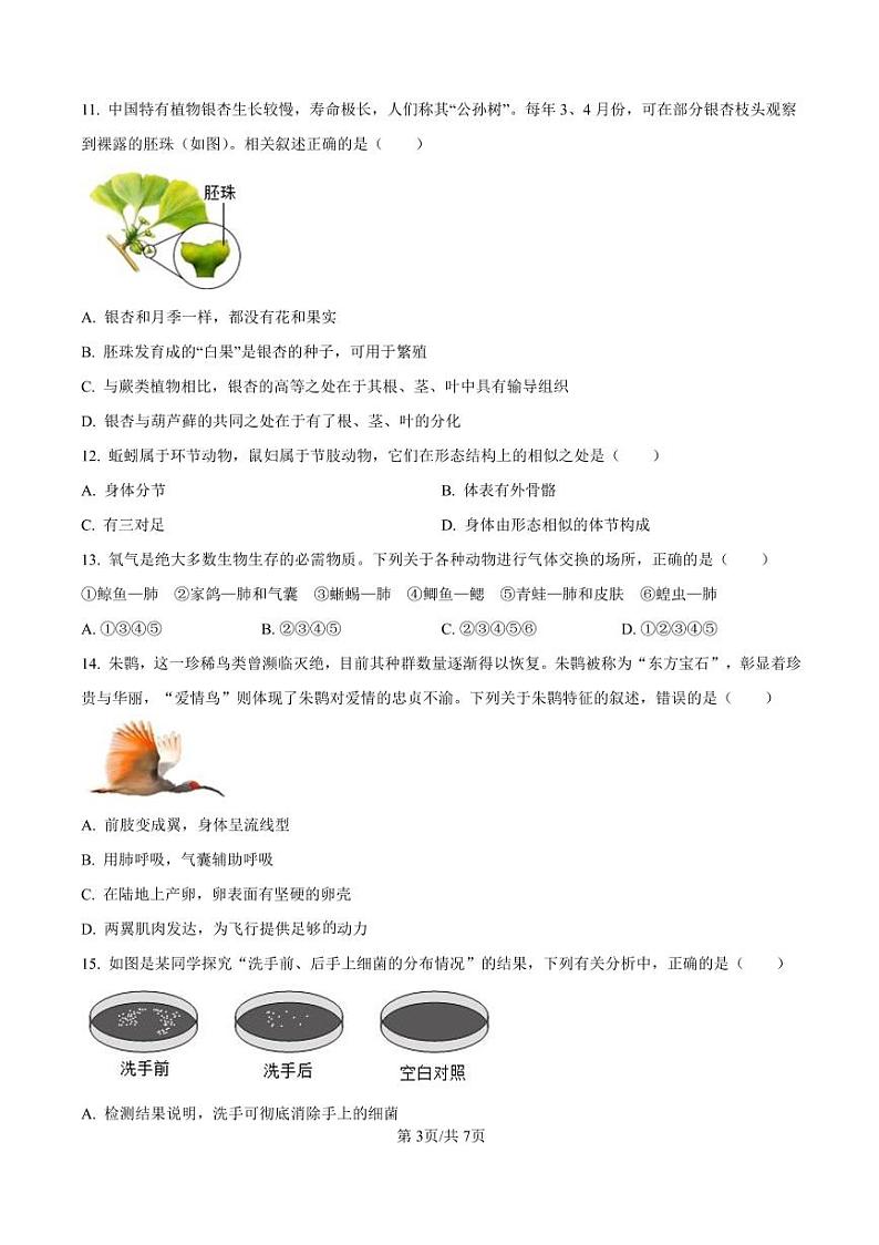 2024-2025南阳市名校联考七上期末生物试卷及答案第3页