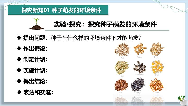 3.1.1 种子的萌发第7页