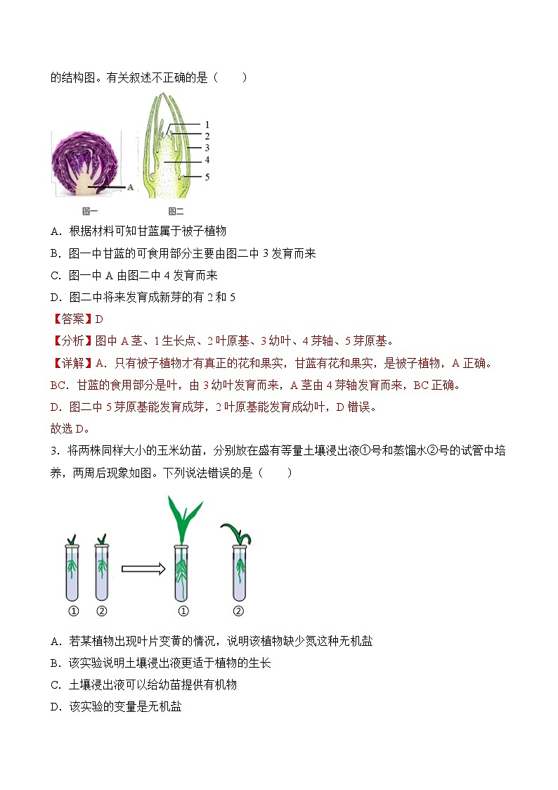 3.1.2 植株的生长（分层作业）（解析版）第2页