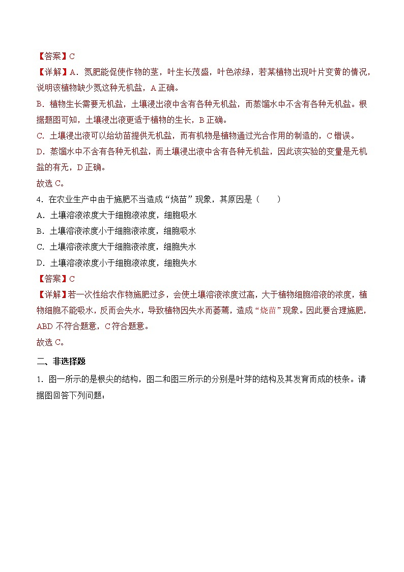 3.1.2 植株的生长（分层作业）（解析版）第3页