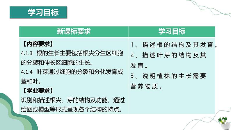 3.1.2 植株的生长第3页