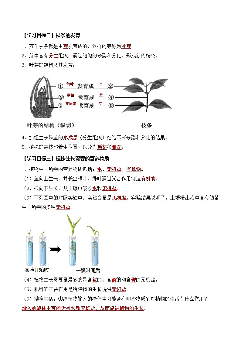 3.1.2 植株的生长（导学案）（解析版）第2页