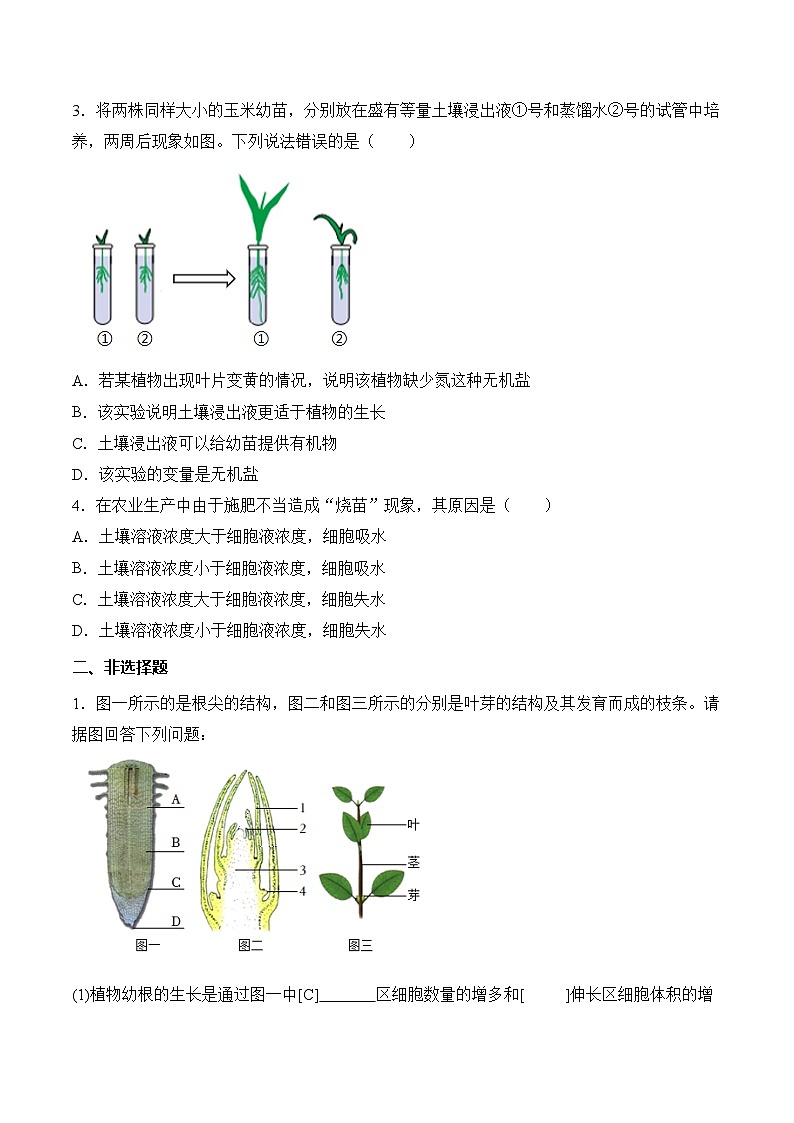 3.1.2 植株的生长（分层作业）（原卷版）第2页