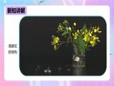 冀教版生物八下 6.1.1.1 被子植物的生殖《有性生殖》课件＋教案+学案+素材