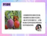 冀教版生物八下6.1.1.2 被子植物的生殖《无性生殖》 课件＋教案+学案+素材