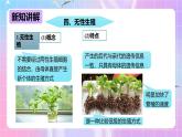 冀教版生物八下6.1.1.2 被子植物的生殖《无性生殖》 课件＋教案+学案+素材