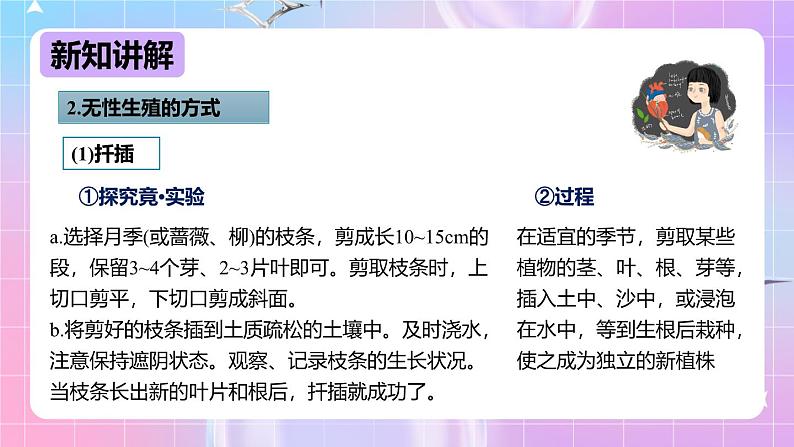 冀少版生物八下6.1.1.2 被子植物的生殖《无性生殖》 课件第8页