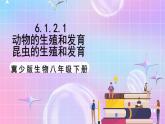 冀少版生物八下6.1.2.1动物的生殖和发育《昆虫的生殖和发育》课件+教案+学案+素材