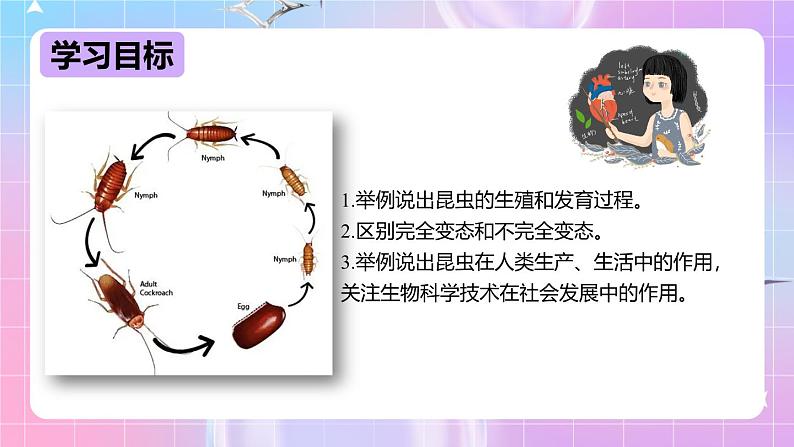 冀少版生物八下6.1.2.1动物的生殖和发育《昆虫的生殖和发育》 课件第2页