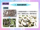 冀少版生物八下6.1.2.1动物的生殖和发育《昆虫的生殖和发育》课件+教案+学案+素材