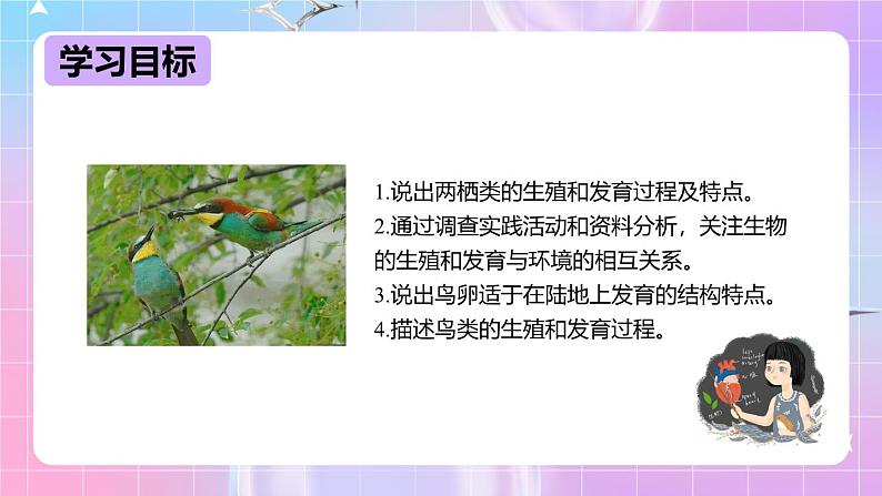 冀少版生物八下6.1.2.1动物的生殖和发育《两栖类、鸟类的生殖和发育》课件第2页