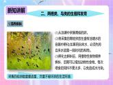 冀少版生物八下6.1.2.2动物的生殖和发育《两栖类、鸟类的生殖和发育》课件+教案+学案+素材