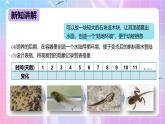 冀少版生物八下6.1.2.2动物的生殖和发育《两栖类、鸟类的生殖和发育》课件+教案+学案+素材