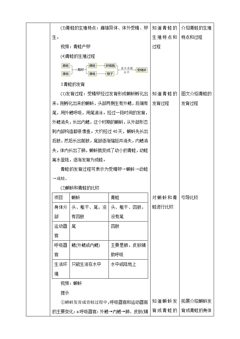 冀少版生物八下6.1.2.2 动物的生殖和发育《两栖类、鸟类的生殖和发育》教案第3页