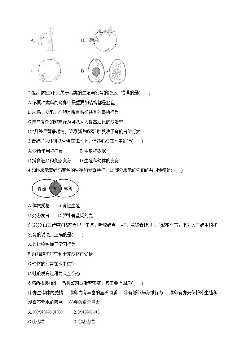 冀少版生物八下6.1.2.2 动物的生殖和发育《两栖类、鸟类的生殖和发育》学案第3页