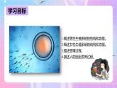 冀少版生物八下6.1.3《人的生殖和胚胎发育》课件+教案+学案+素材4