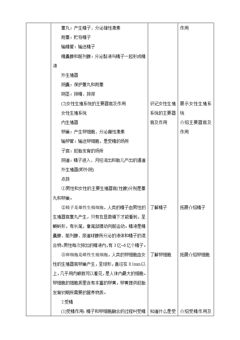 冀少版生物八下6.1.3《人的生殖和胚胎发育》教案第2页