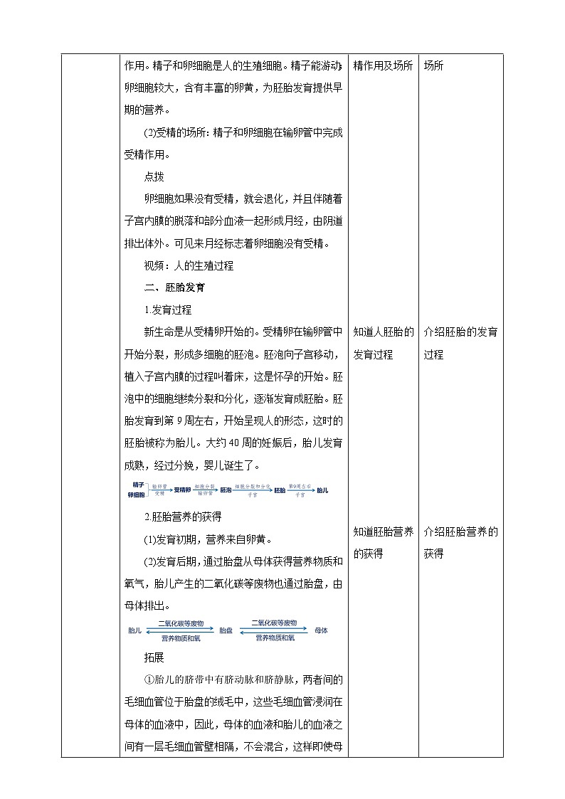 冀少版生物八下6.1.3《人的生殖和胚胎发育》教案第3页