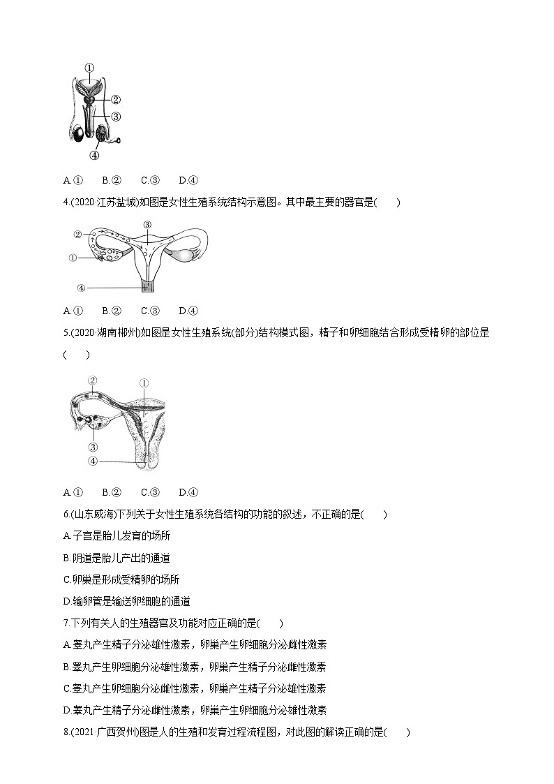 冀少版生物八下6.1.3《人的生殖和胚胎发育》学案第3页