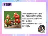 冀少版生物八下6.2.2《变异》课件+教案+学案+素材