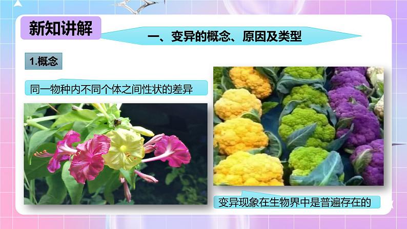 冀少版生物八下6.2.2《变异》课件第4页