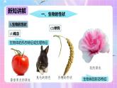 冀少生物八下6.2.1.1 遗传《性状和性状的传递》课件+教案+学案+素材