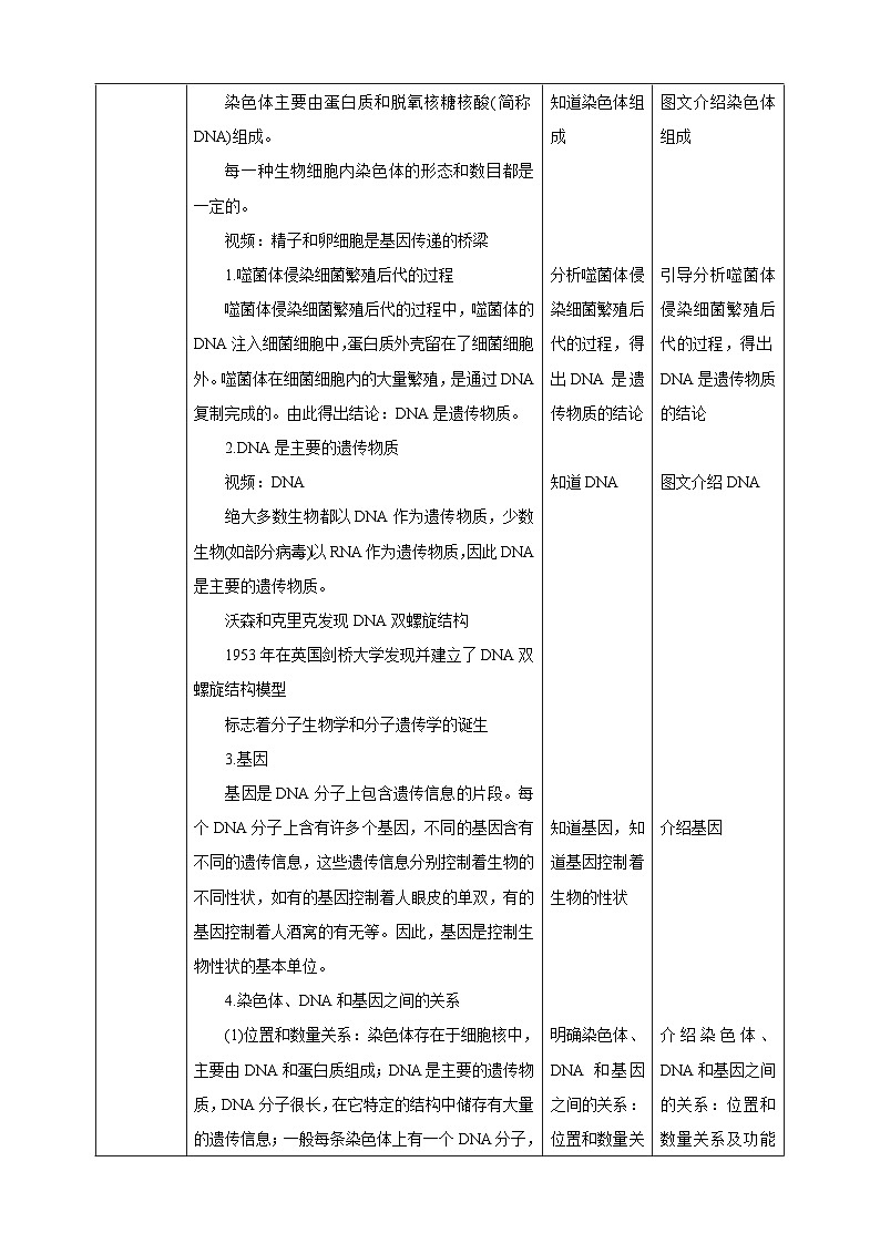 冀少版生物八下6.2.1.2 遗传《遗传的物质基础》教案第2页
