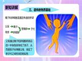 冀少版生物八下6.2.1.2 遗传《遗传的物质基础》课件+教案+学案+素材2