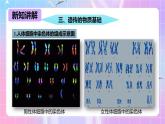 冀少版生物八下6.2.1.3遗传《人的性别决定》课件+教案+学案+素材3