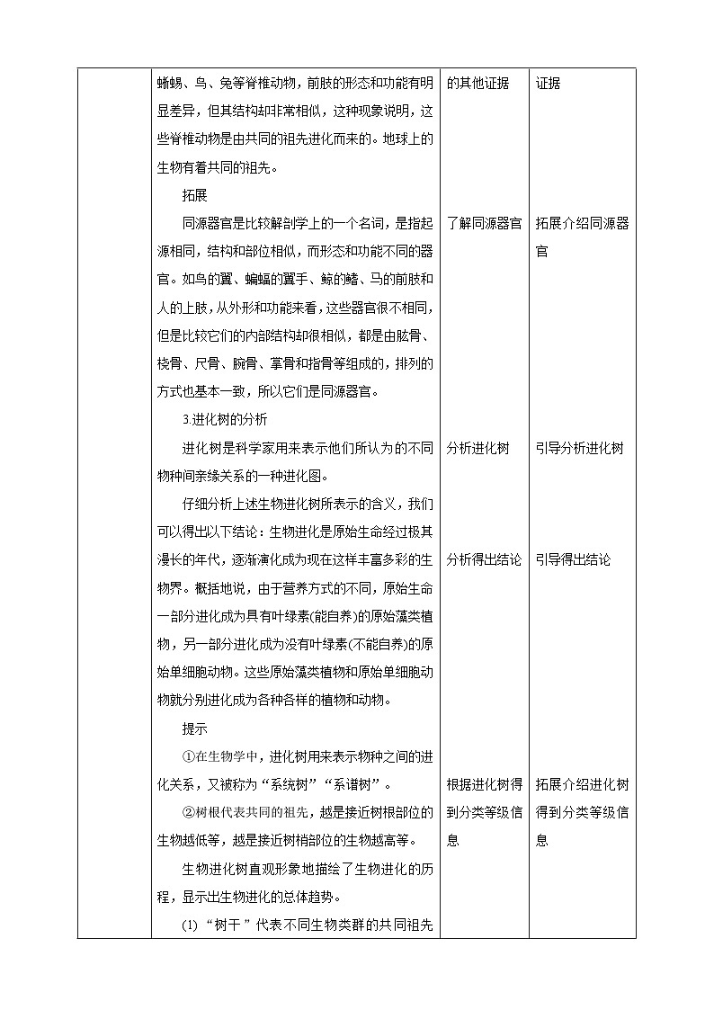 冀少版生物八下6.3.2.1生物的进化《生物进化的历程》教案第3页