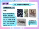 冀少版生物八下6.3.2.1 生物的进化《生物进化的历程》 课件+教案+学案+素材2