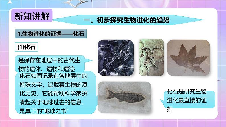 冀少版生物八下6.3.2.1 生物的进化《生物进化的历程》课件第4页