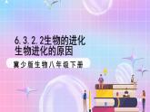 冀少版生物八下6.3.2.2 生物的进化《生物进化的原因》课件+教案+学案+素材1