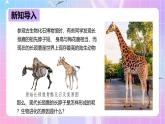 冀少版生物八下6.3.2.2 生物的进化《生物进化的原因》课件+教案+学案+素材1
