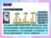 冀少版生物八下6.3.2.2 生物的进化《生物进化的原因》课件+教案+学案+素材1