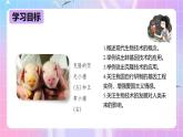 冀少版生物八下6.4《现代生物技术》课件+教案+学案+素材5
