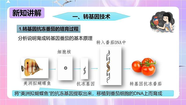 冀少版生物八下6.4《现代生物技术》课件第4页