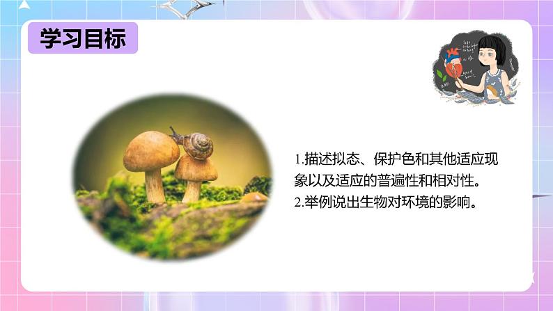 冀少版生物八下7.1.2《生物对环境的适应和影响》课件第2页