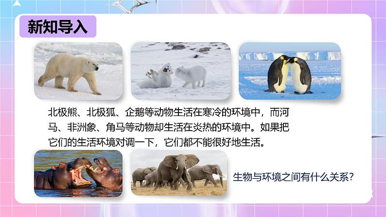 冀少版生物八下7.1.2《生物对环境的适应和影响》课件第3页