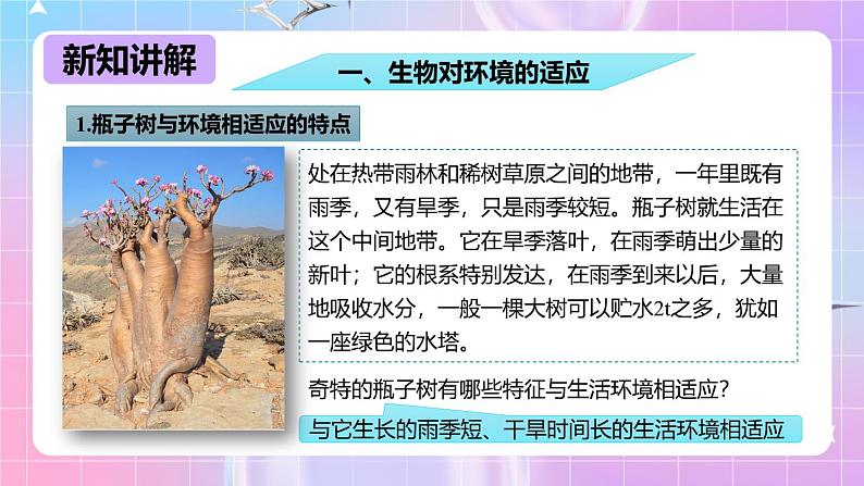 冀少版生物八下7.1.2《生物对环境的适应和影响》课件第5页