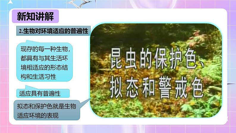 冀少版生物八下7.1.2《生物对环境的适应和影响》课件第8页