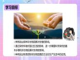 冀少版生物八下7.1.1.1 环境对生物的影响《非生物因素对生物的影响》课件+教案+学案+素材