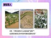 冀少版生物八下7.1.1.1 环境对生物的影响《非生物因素对生物的影响》课件+教案+学案+素材